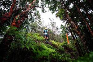 BIB: 
                            <button type="button" onclick="openModal(26202301)" class="btn btn-primary btn-sm float-right btn-popup" data-toggle="modal" data-target=".modal-high-quality">
                        <i class="fas fa-shopping-cart"></i> Add to Cart
                    </button>
                                            <button type="button" onclick="isThisMe(26202301, true)" class="btn btn-success btn-sm float-right btn-popup btn-isme hidden" data-toggle="tooltip" data-placement="bottom" title="นี่คือรูปของคุณใช่ไหม คลิกที่นี่เพื่อเอาเข้าอัลบั้ม">
                        <i class="fas fa-plus"></i> Add to album
                    </button>
                    <button type="button" onclick="isThisMe(26202301, false)" class="btn btn-warning btn-sm float-right btn-popup btn-isnotme hidden">
                        <i class="fas fa-ban"></i> Remove from album
                    </button>